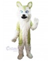 Wolf mascot costume