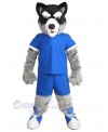 Wolf mascot costume