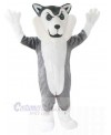 Wolf mascot costume