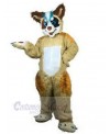 Wolf mascot costume