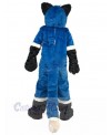 Wolf mascot costume
