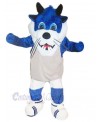 Tiger mascot costume