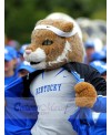 Tiger mascot costume