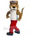 Tiger mascot costume