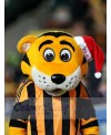 Tiger mascot costume
