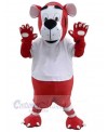 Tiger mascot costume