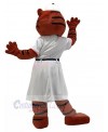 Tiger mascot costume