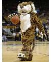 Tiger mascot costume