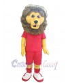 Lion mascot costume