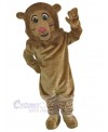 Lion mascot costume