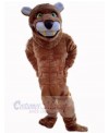 Lion mascot costume