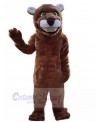 Lion mascot costume