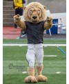 Lion mascot costume