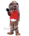 Lion mascot costume