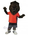 Lion mascot costume