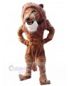 Lion mascot costume
