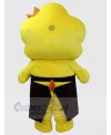 Lion mascot costume