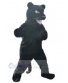 Panther mascot costume