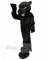 Panther mascot costume