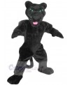 Panther mascot costume