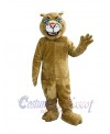 Cougar mascot costume
