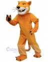 Cougar mascot costume