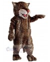 Leopard mascot costume