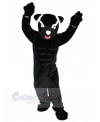 Panther mascot costume