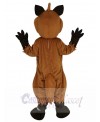 Fox mascot costume