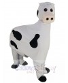 Dairy Cow mascot costume