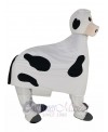 Dairy Cow mascot costume