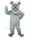 Dog mascot costume