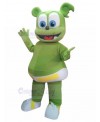 Bear mascot costume