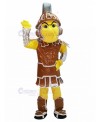 spartan knight mascot costume