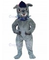 Dog mascot costume