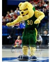 Bulldog mascot costume
