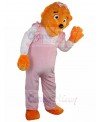bear mascot costume