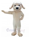 Puppy Dog mascot costume