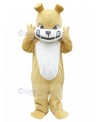 dog mascot costume