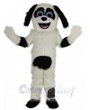 Sheepdog mascot costume