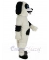 Sheepdog mascot costume