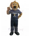 dog mascot costume