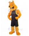 dog mascot costume