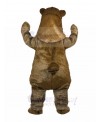 bear mascot costume