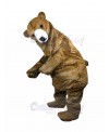 bear mascot costume