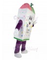 Ice Cream Mascot Costume