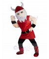 vikings mascot costume