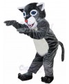 Wildcat mascot costume