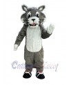 Wildcat mascot costume