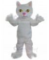 cat mascot costume